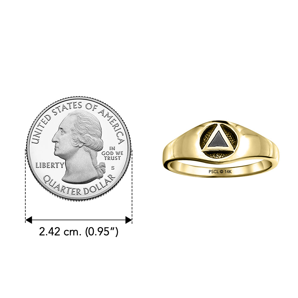 Triangle AA Recovery Symbol with Inlaid Stone Solid Yellow Gold Ring GJR126