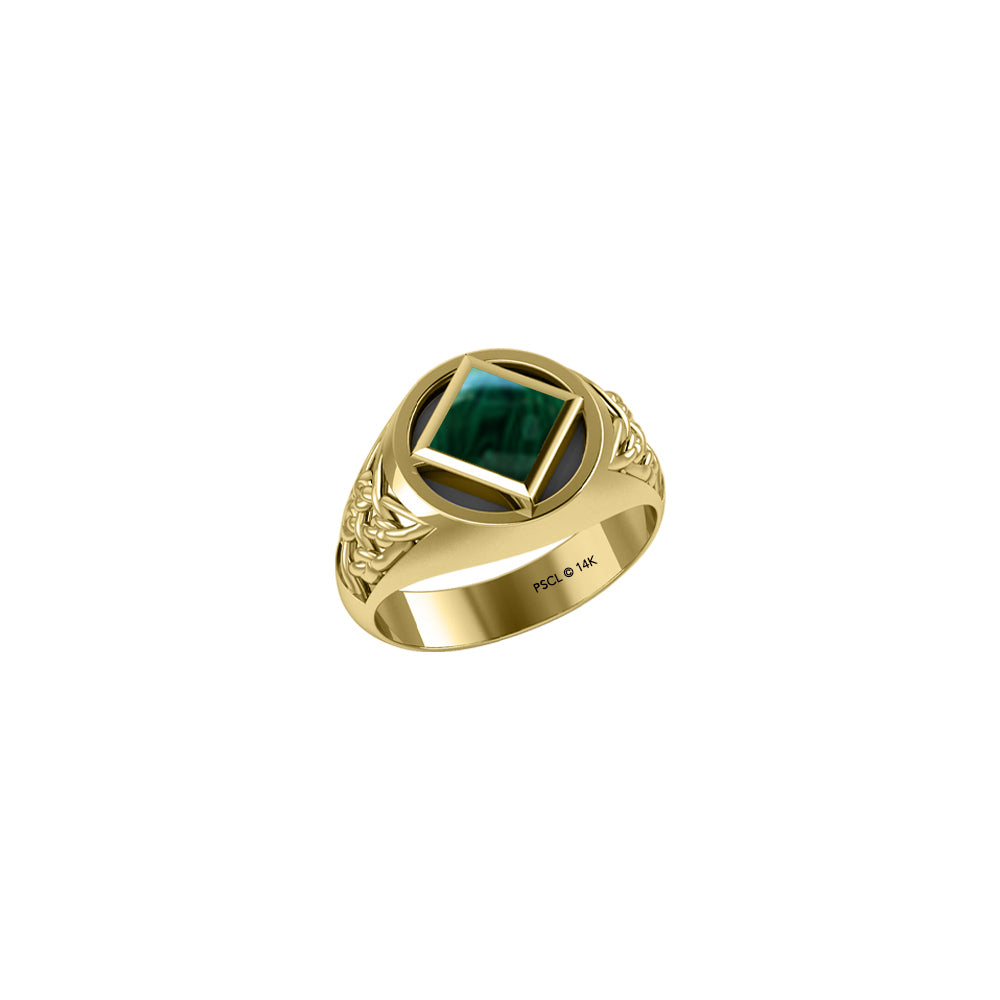 NA Recovery Symbol Solid Yellow Gold Ring with Stone Inlay GRI1287