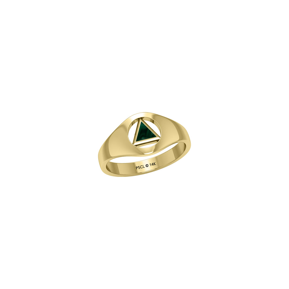 Small Solid Yellow Gold Ring with Inlaid Stone Recovery Symbol GRI1932