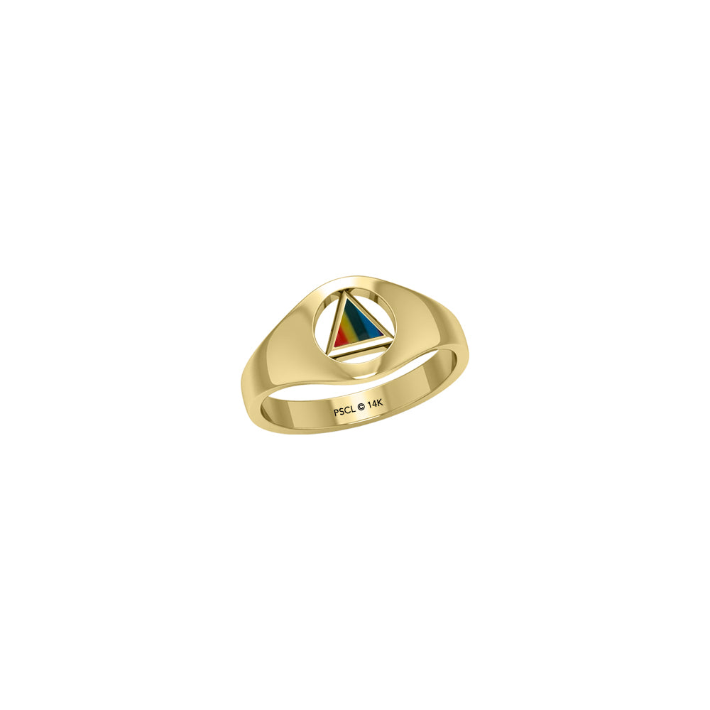 Small Solid Yellow Gold Ring with Inlaid Stone Recovery Symbol GRI1932