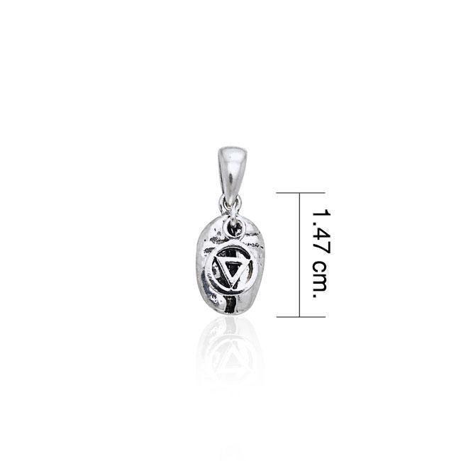 Pride Symbol on Coffee Bean Silver Pendant TP399 Pendant